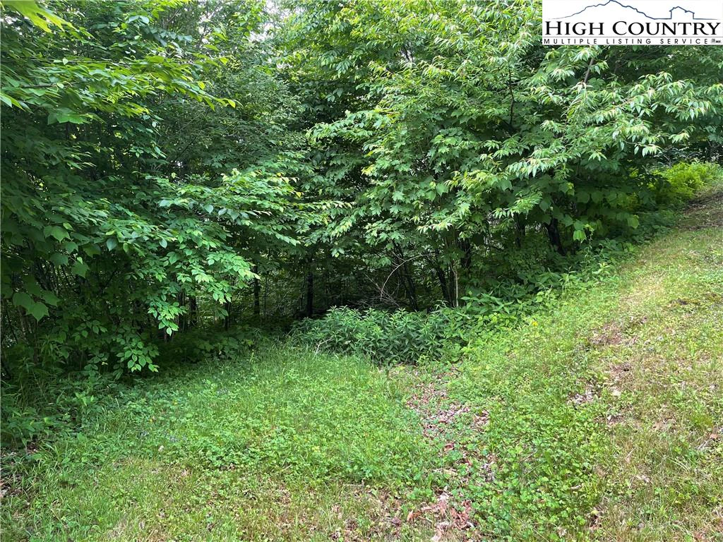 Image number 14 for the current listing