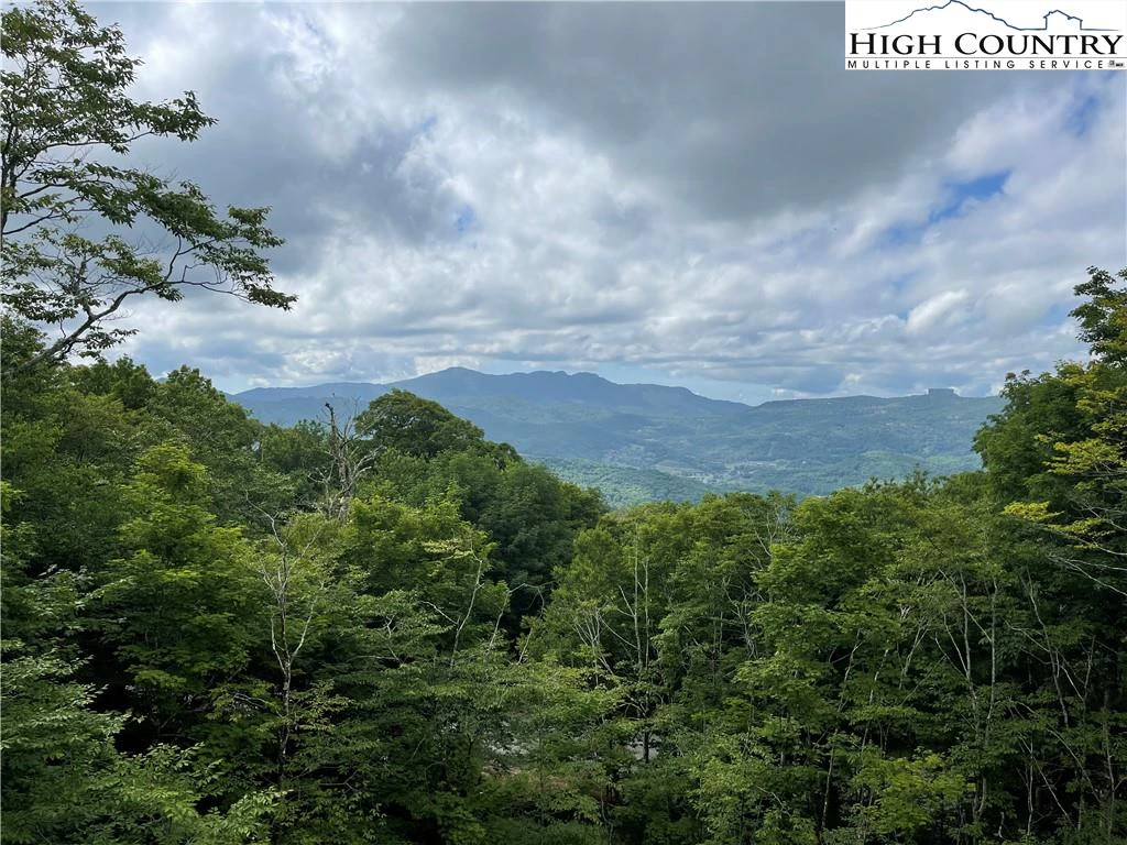 Image number 11 for the current listing