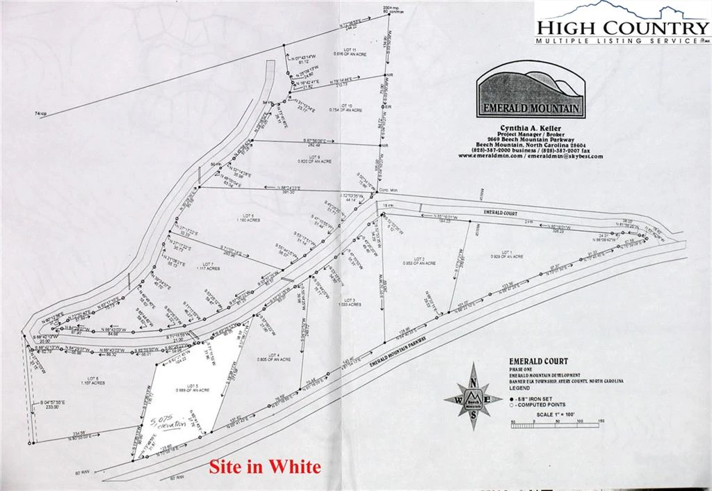 Image number 7 for the current listing