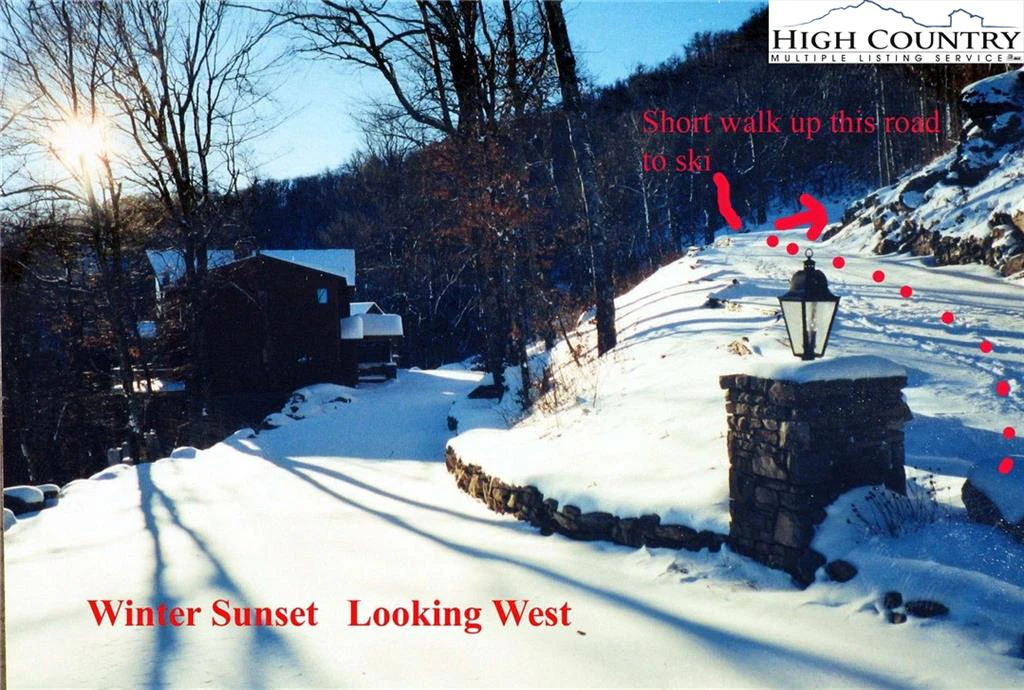 Image number 5 for the current listing