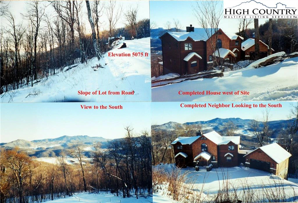 Image number 4 for the current listing