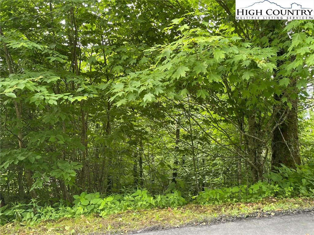 Image number 17 for the current listing