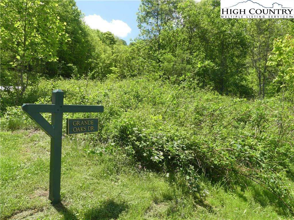 Image number 1 for the current listing
