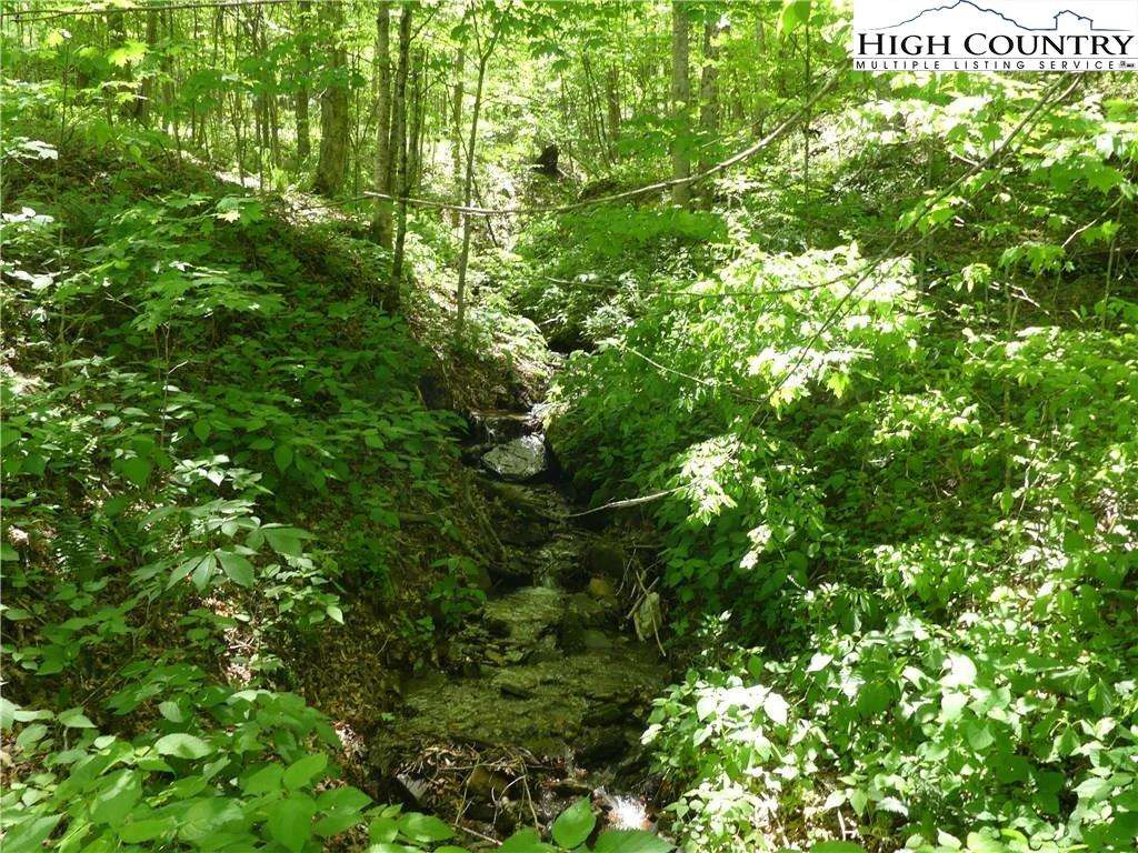 Image number 12 for the current listing