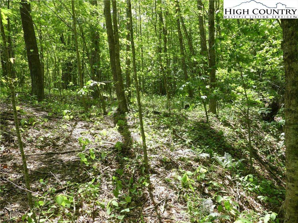 Image number 13 for the current listing