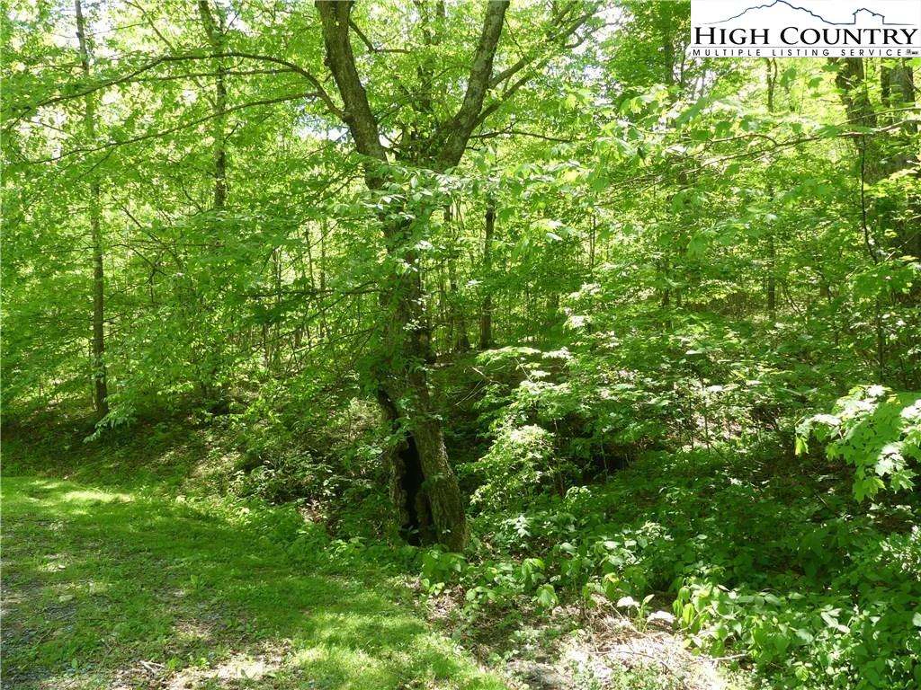 Image number 14 for the current listing