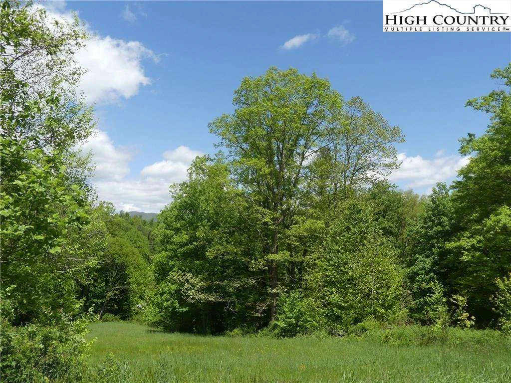Image number 15 for the current listing