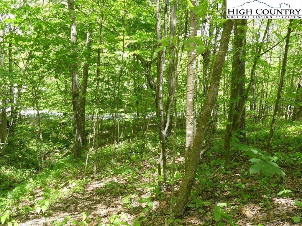 Image number 16 for the current listing