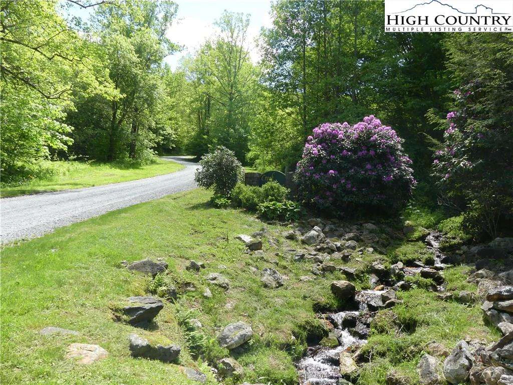 Image number 4 for the current listing