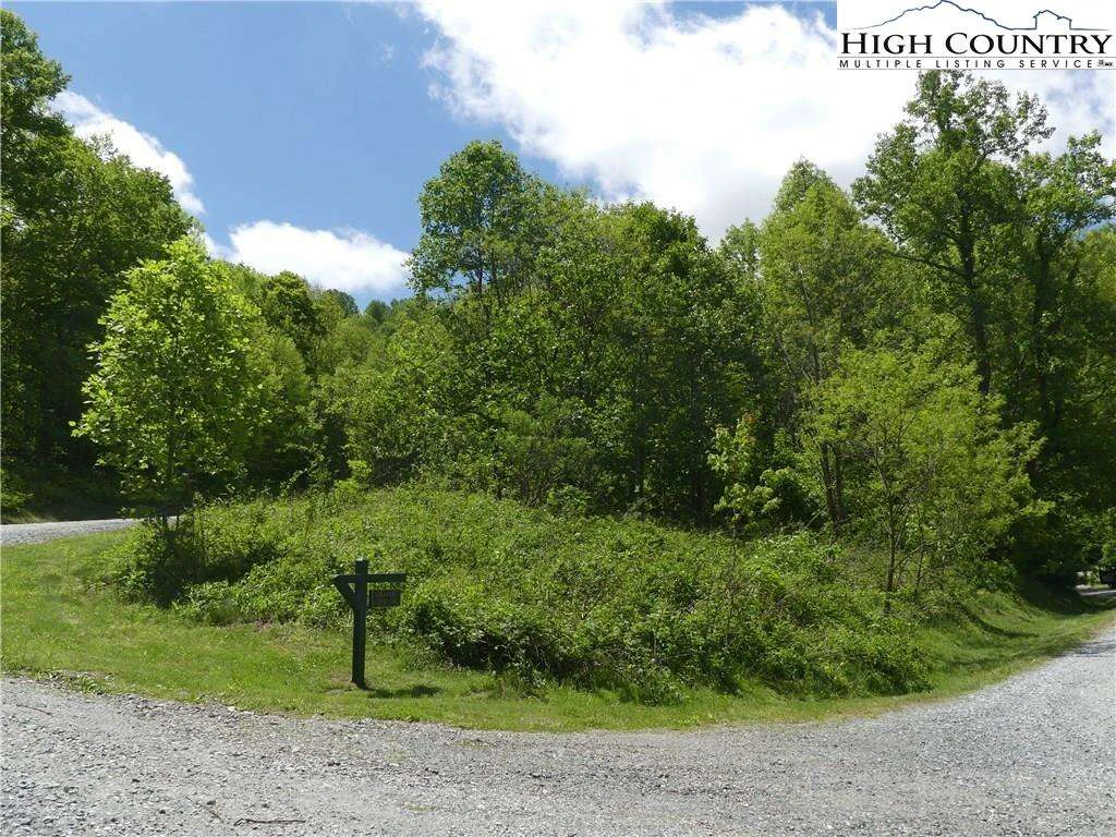 Image number 5 for the current listing