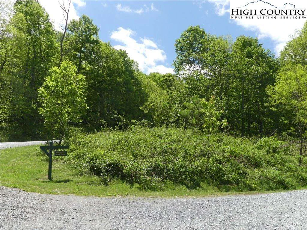 Image number 6 for the current listing