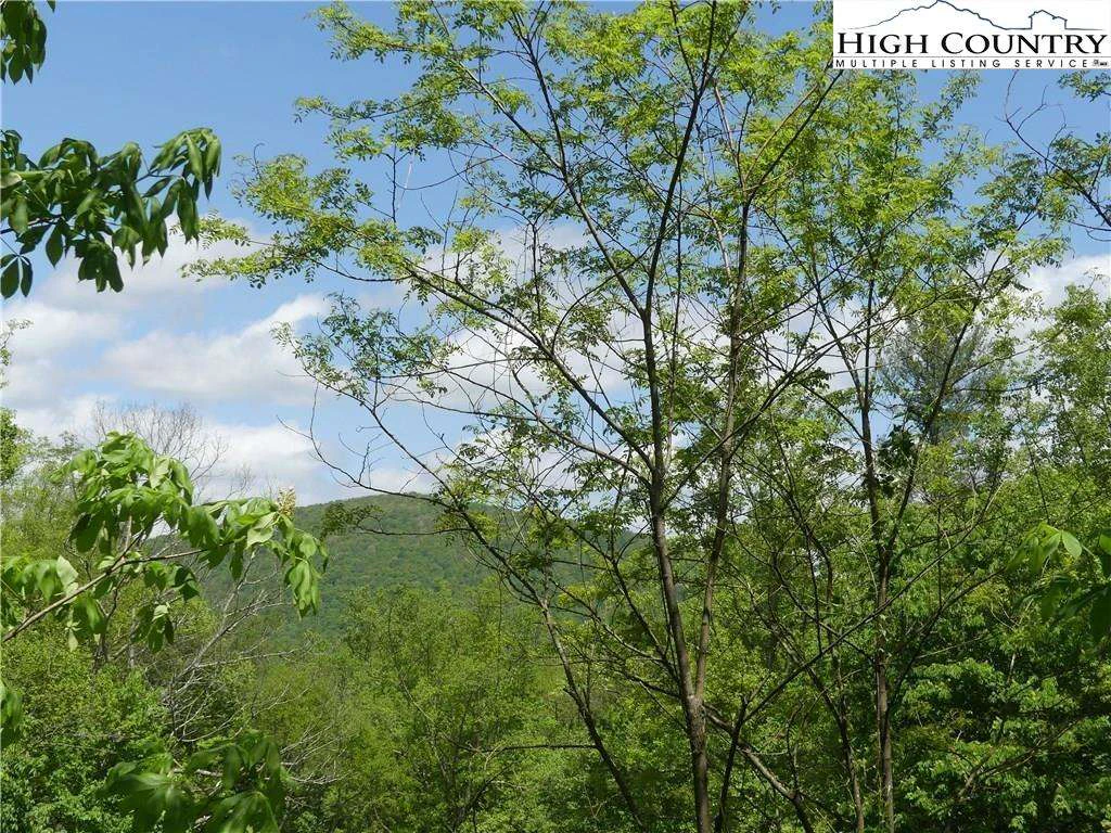 Image number 7 for the current listing