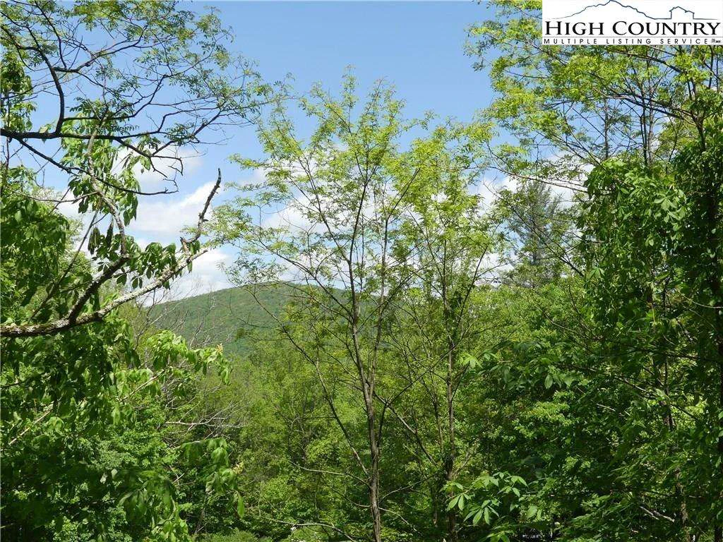 Image number 8 for the current listing