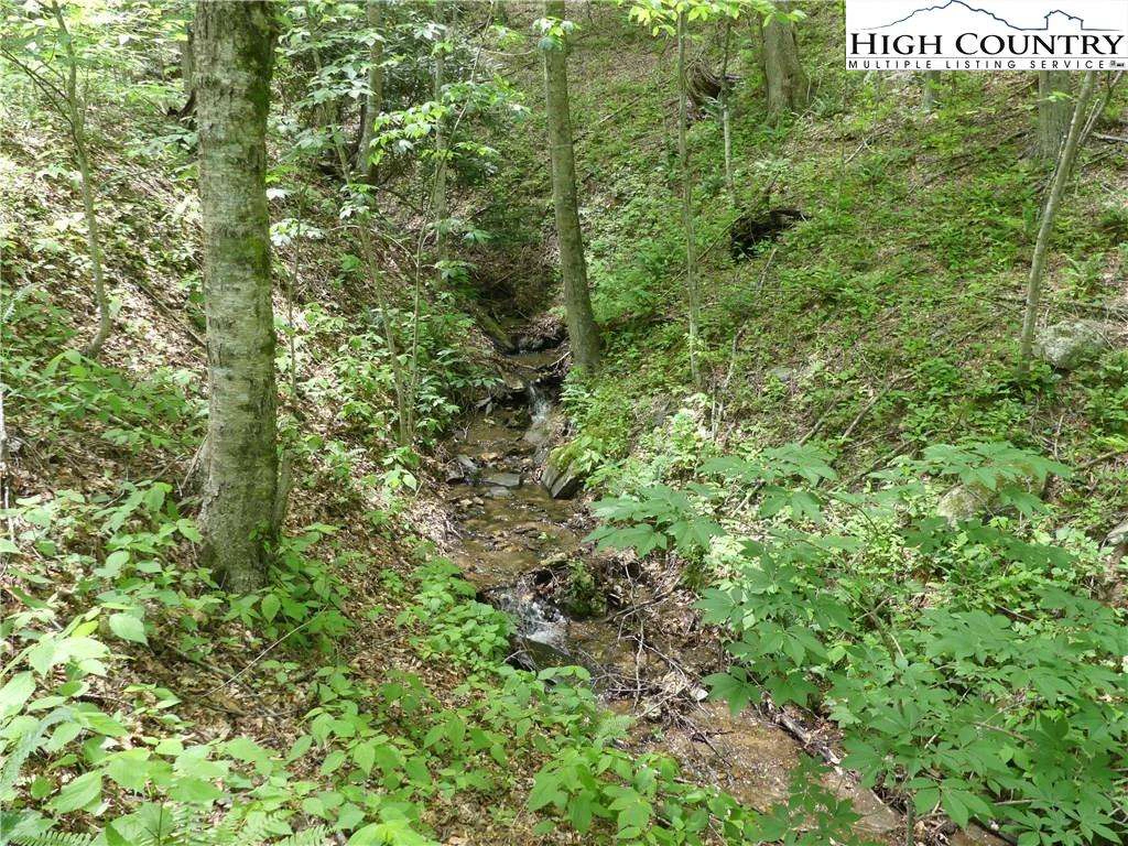 Image number 10 for the current listing