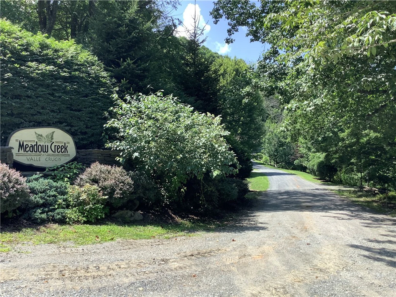 Image number 1 for the current listing