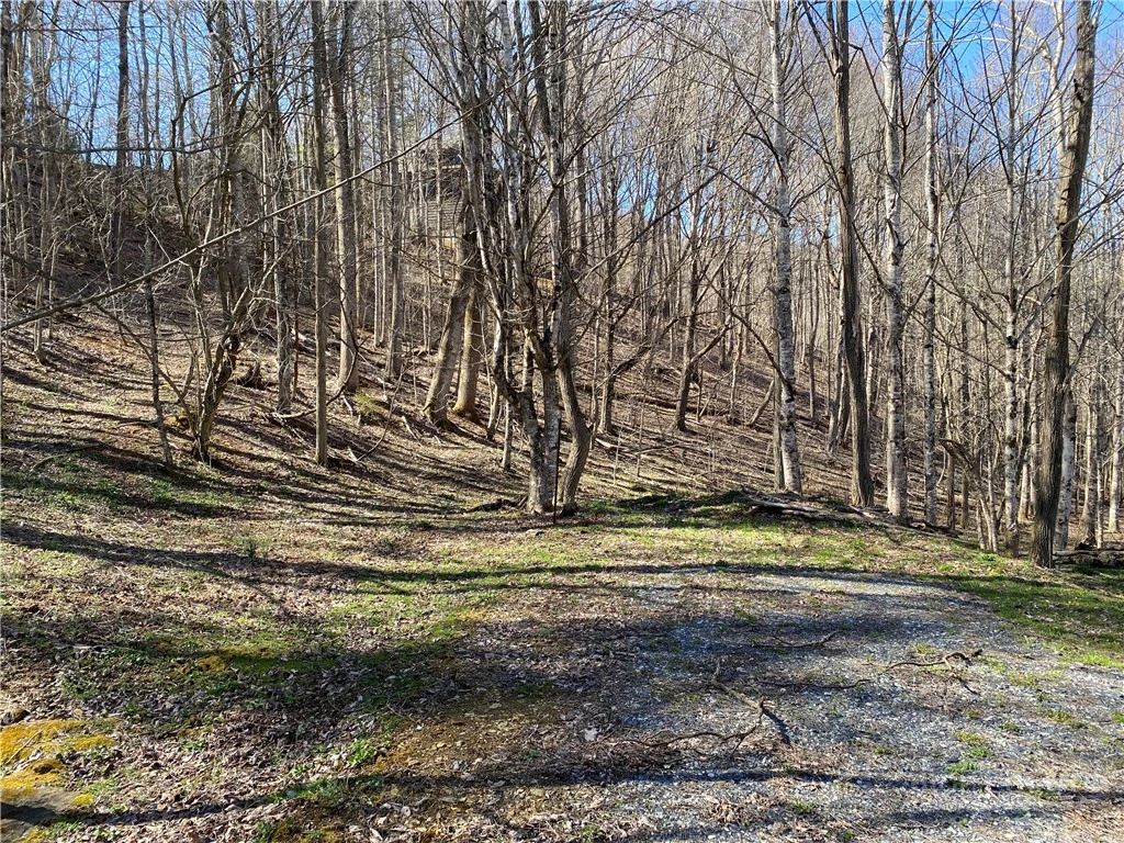 Image number 2 for the current listing