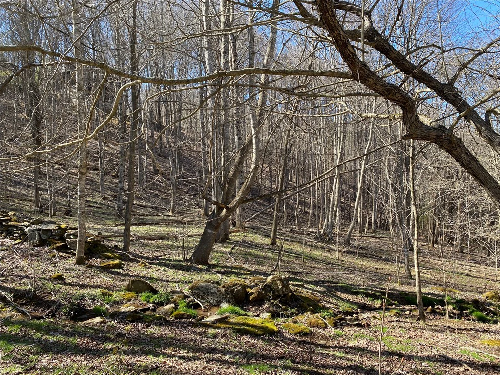 Image number 3 for the current listing