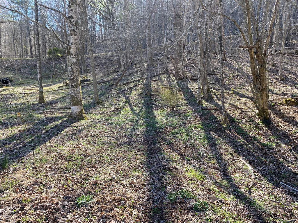 Image number 9 for the current listing