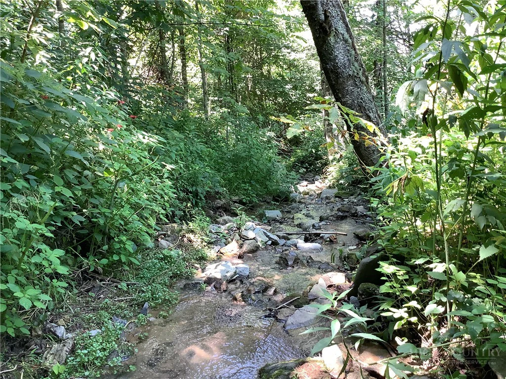 Image number 11 for the current listing