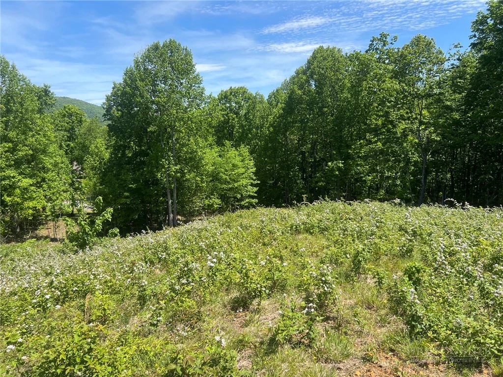 Image number 2 for the current listing