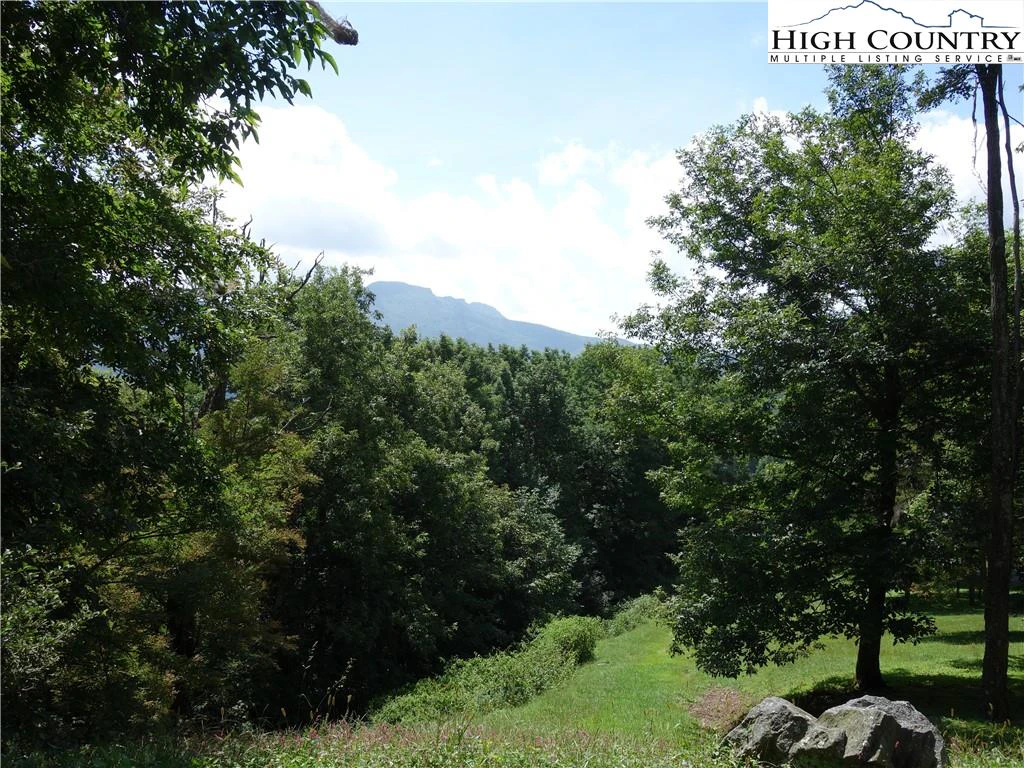 Image number 4 for the current listing