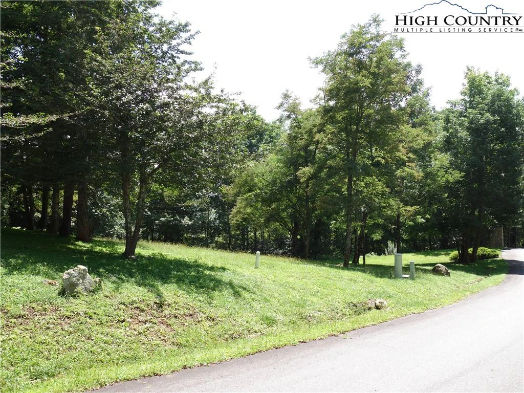 Image number 8 for the current listing