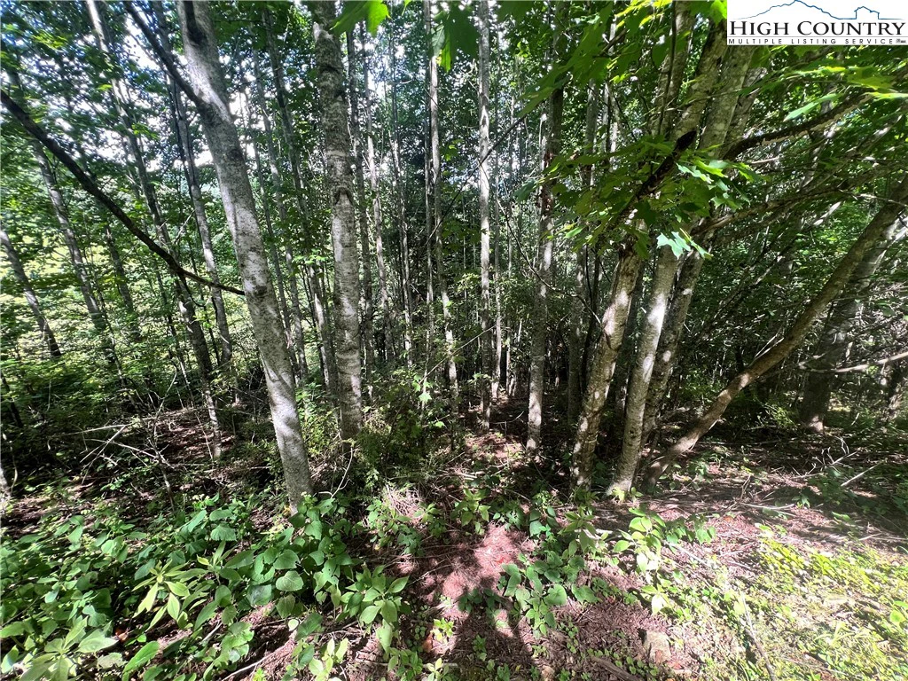 Image number 1 for the current listing
