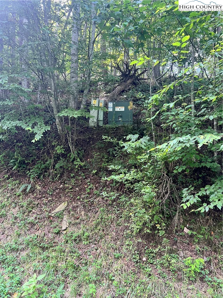 Image number 3 for the current listing