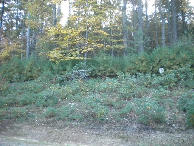 Image number 1 for the current listing