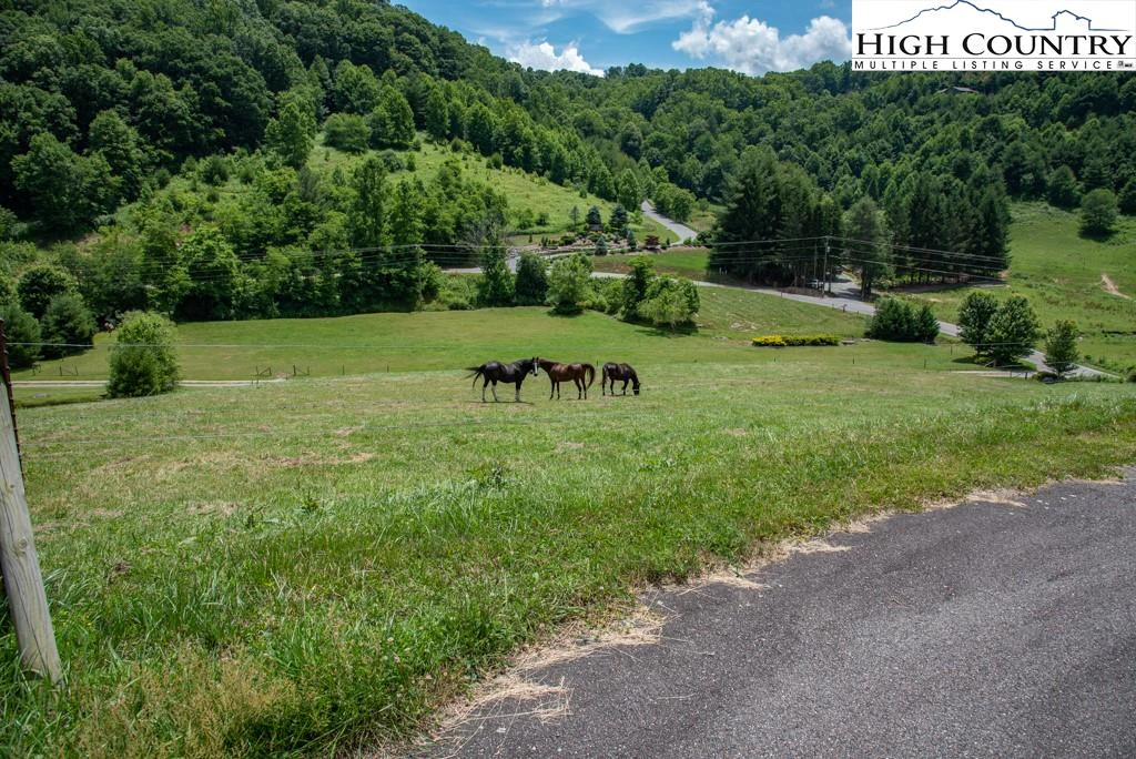 Image number 2 for the current listing