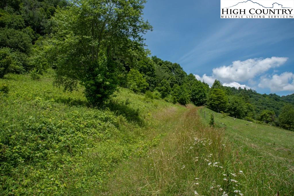 Image number 14 for the current listing