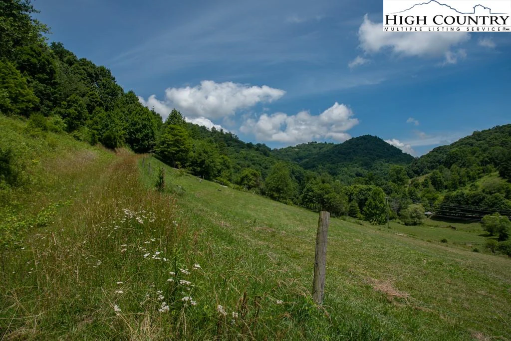 Image number 13 for the current listing