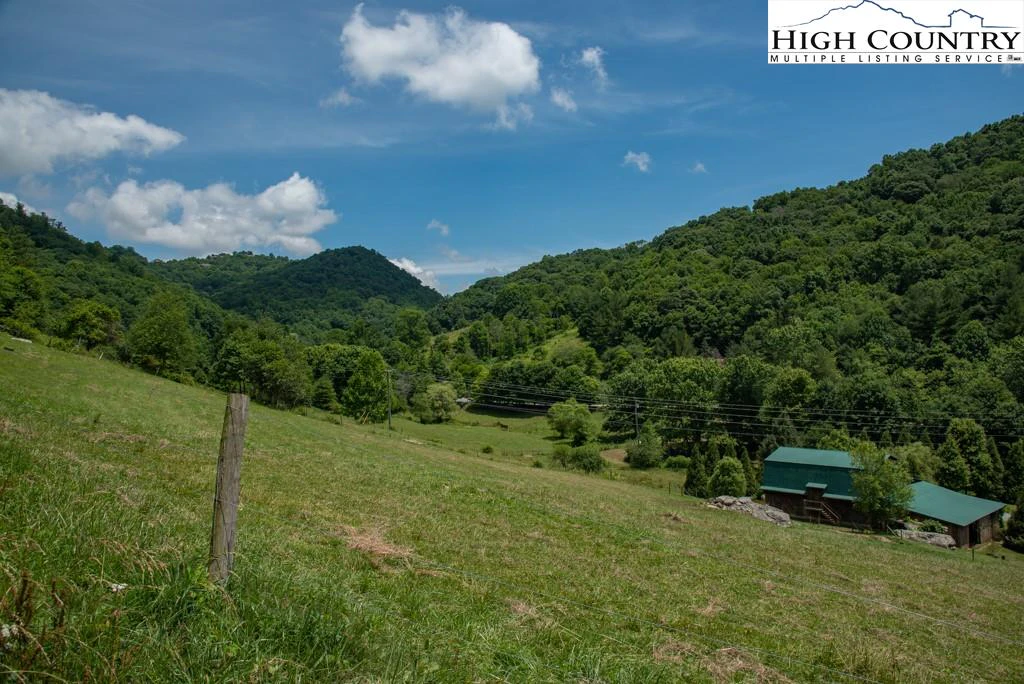 Image number 12 for the current listing