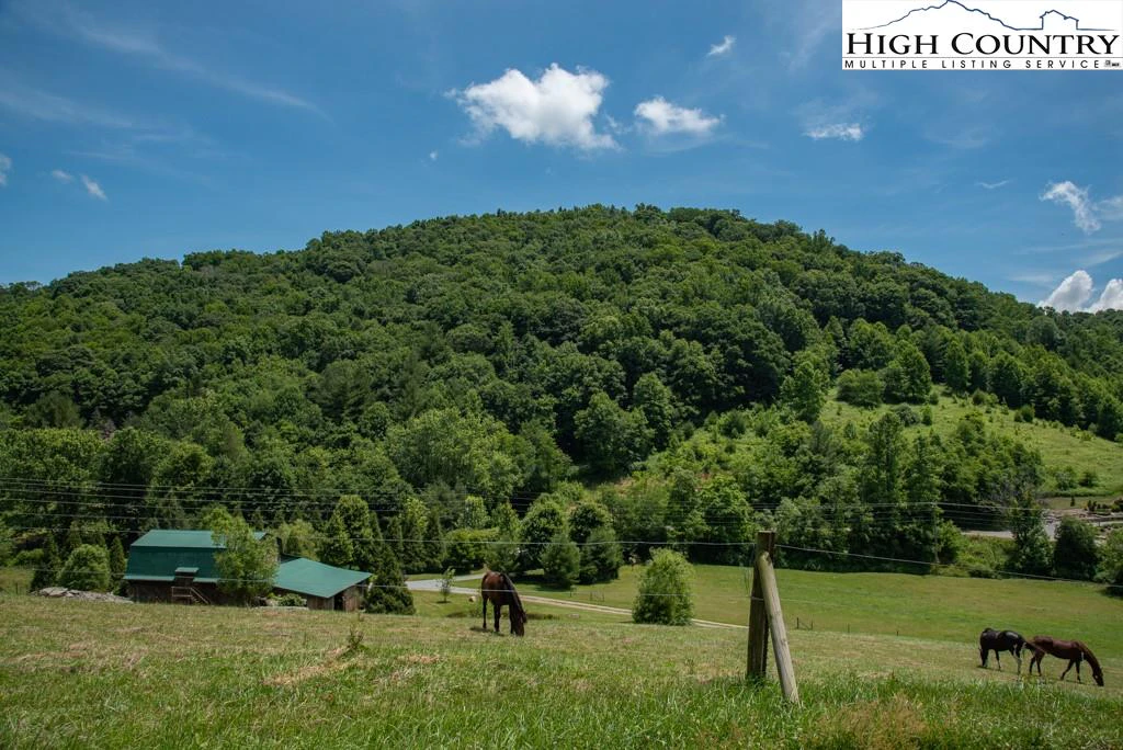 Image number 11 for the current listing