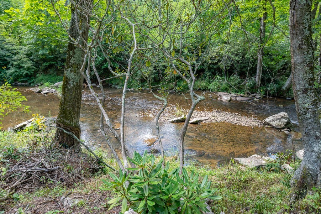 Image number 3 for the current listing