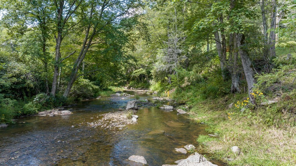 Image number 5 for the current listing