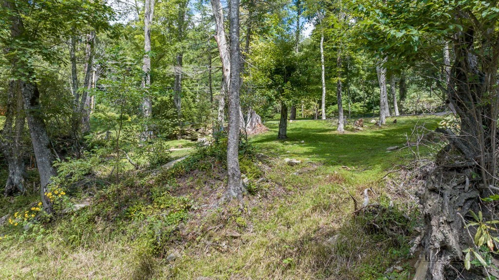 Image number 15 for the current listing