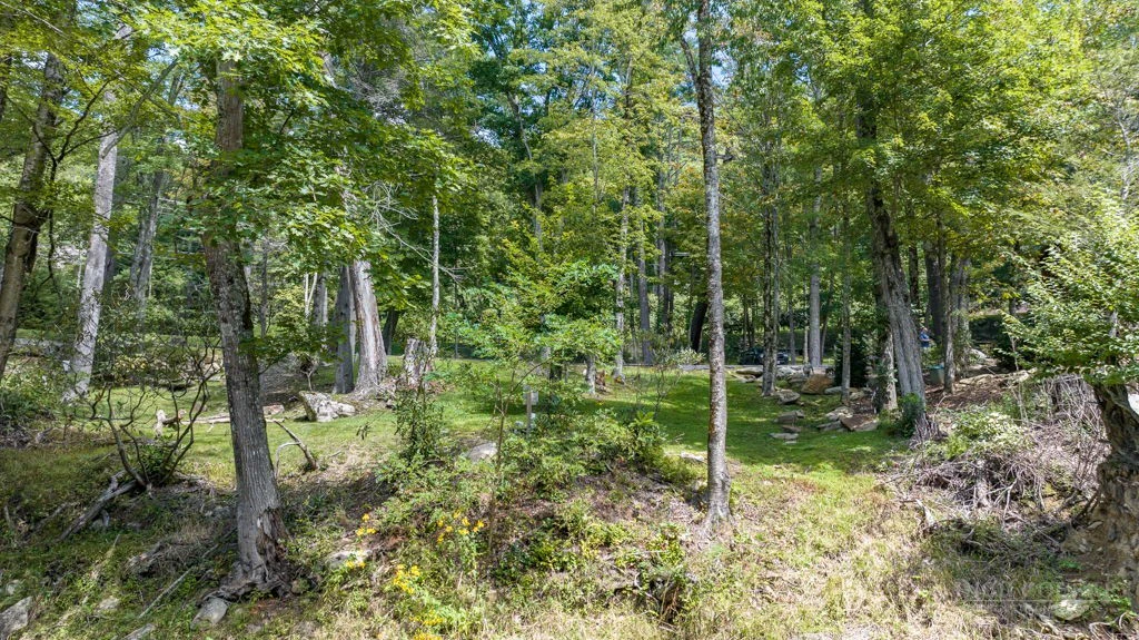 Image number 16 for the current listing