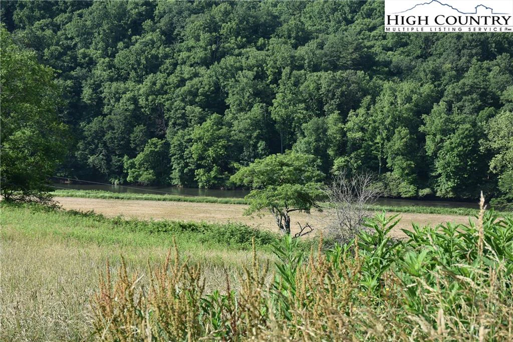 Image number 7 for the current listing