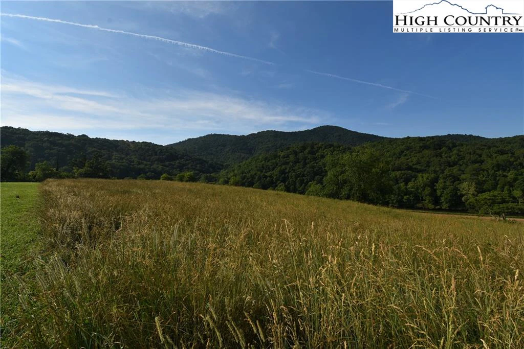 Image number 13 for the current listing