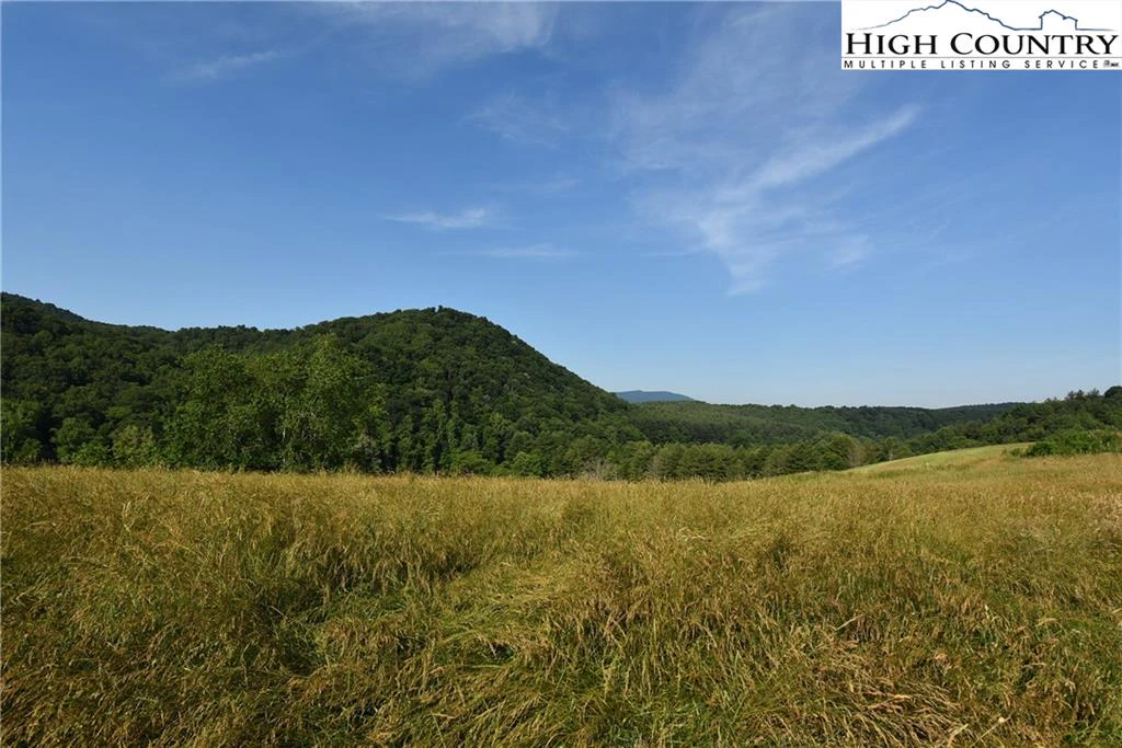 Image number 12 for the current listing