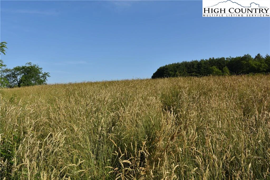 Image number 2 for the current listing