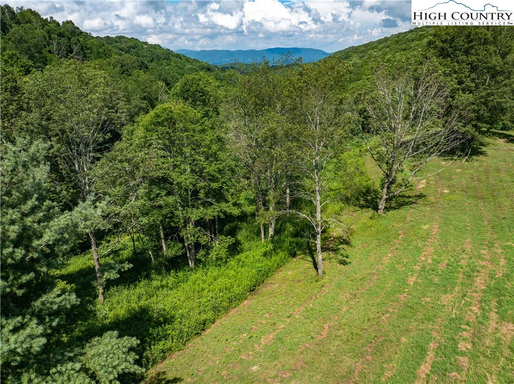 Image number 1 for the current listing
