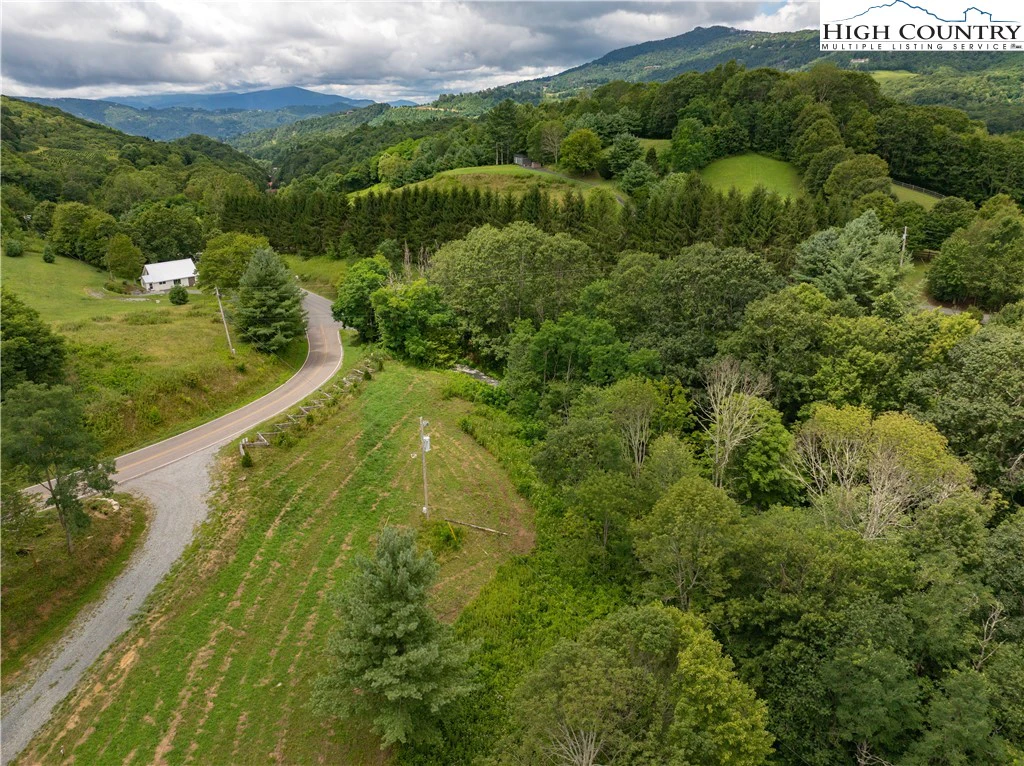 Image number 4 for the current listing