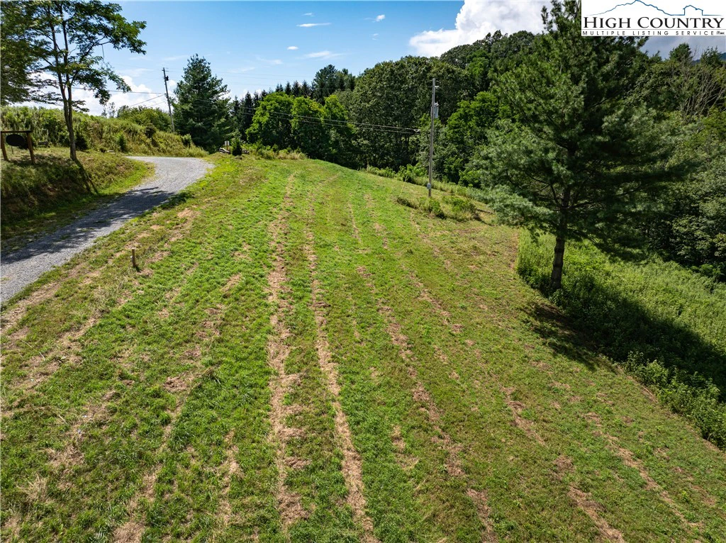 Image number 14 for the current listing
