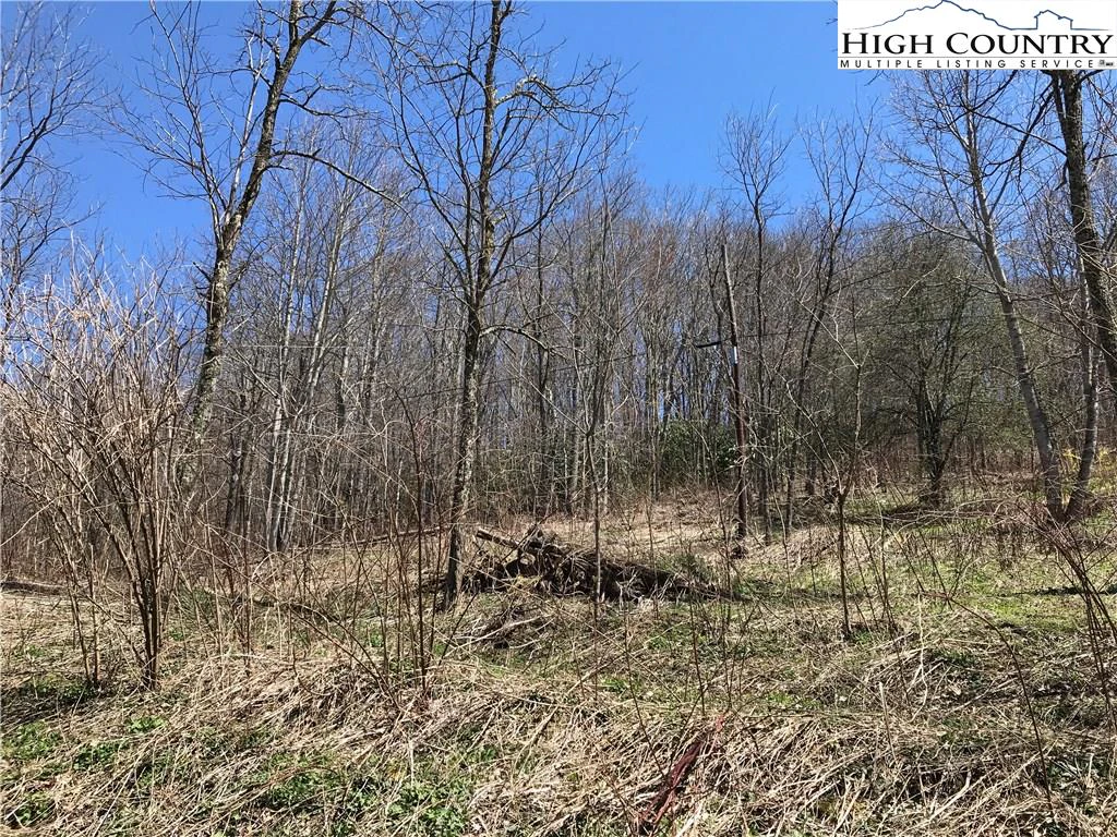 Image number 1 for the current listing