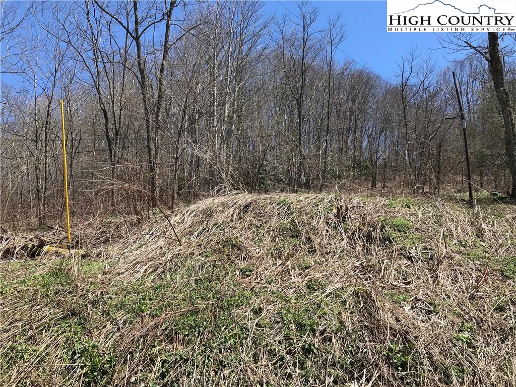 Image number 3 for the current listing