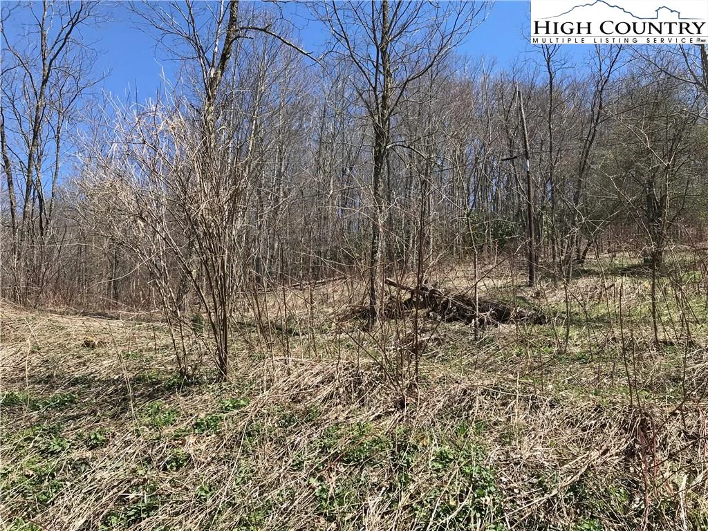 Image number 4 for the current listing