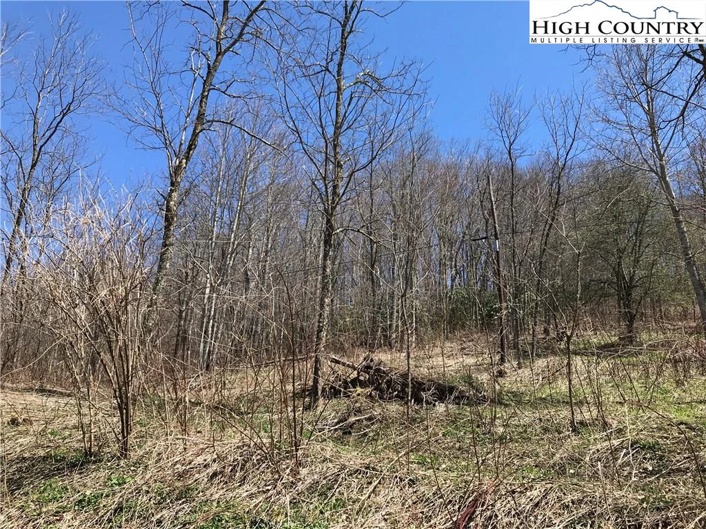 Image number 7 for the current listing