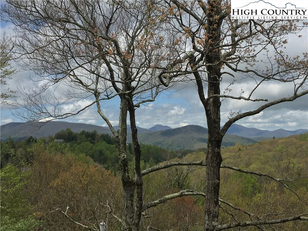 Image number 1 for the current listing
